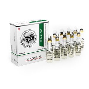 Magnum Bold 300 in USA Online