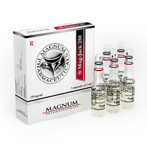 Magnum Mag-Jack 250 in USA Online
